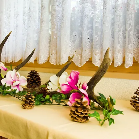 Apartmán Jolimont Zermatt