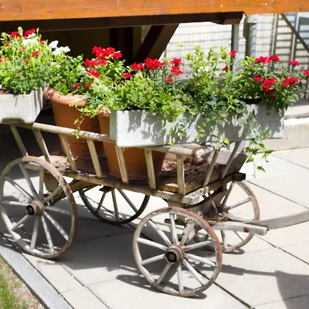 Apartmán Jolimont Zermatt