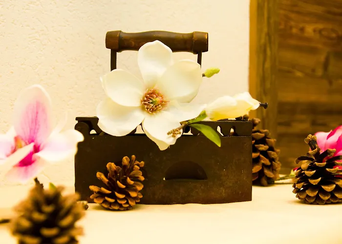 졸리몬트 아파트먼트 *