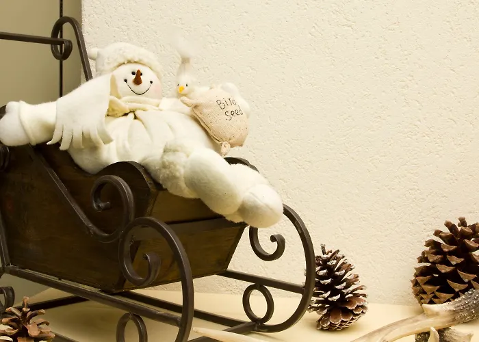 졸리몬트 아파트먼트 아파트 *