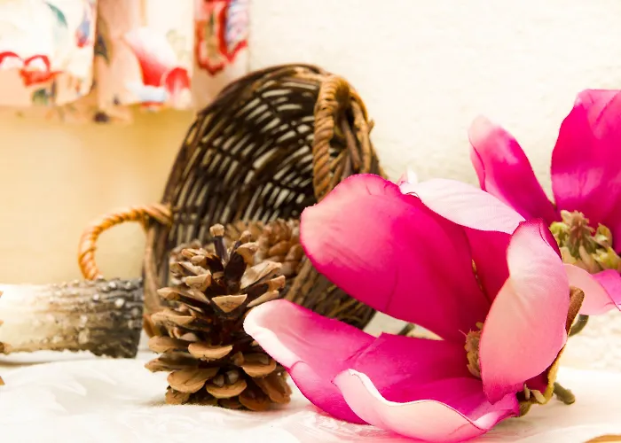 졸리몬트 아파트먼트 아파트