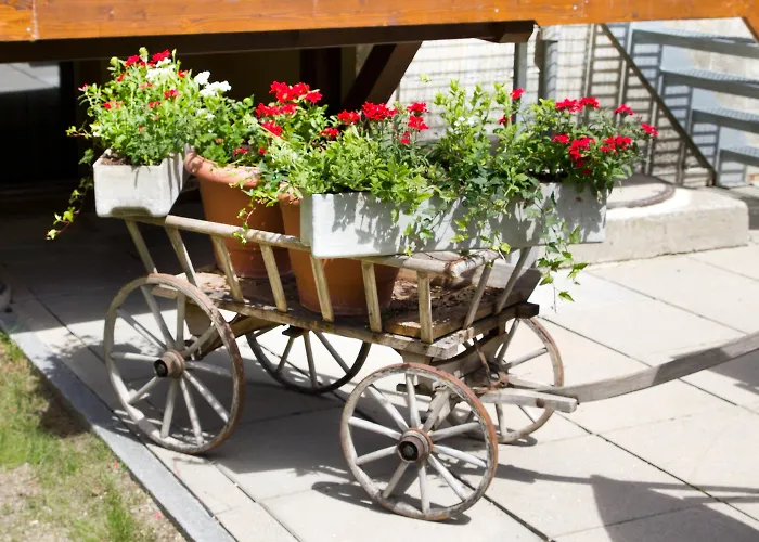 Apartment Jolimont Zermatt