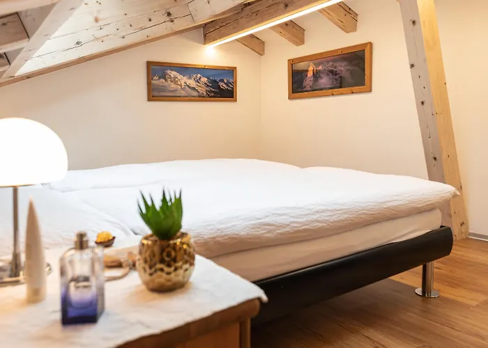 졸리몬트 아파트먼트 체르마트