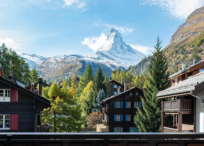 졸리몬트 아파트먼트